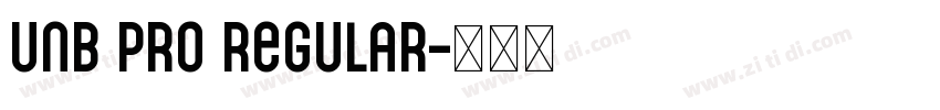 UnB Pro Regular字体转换